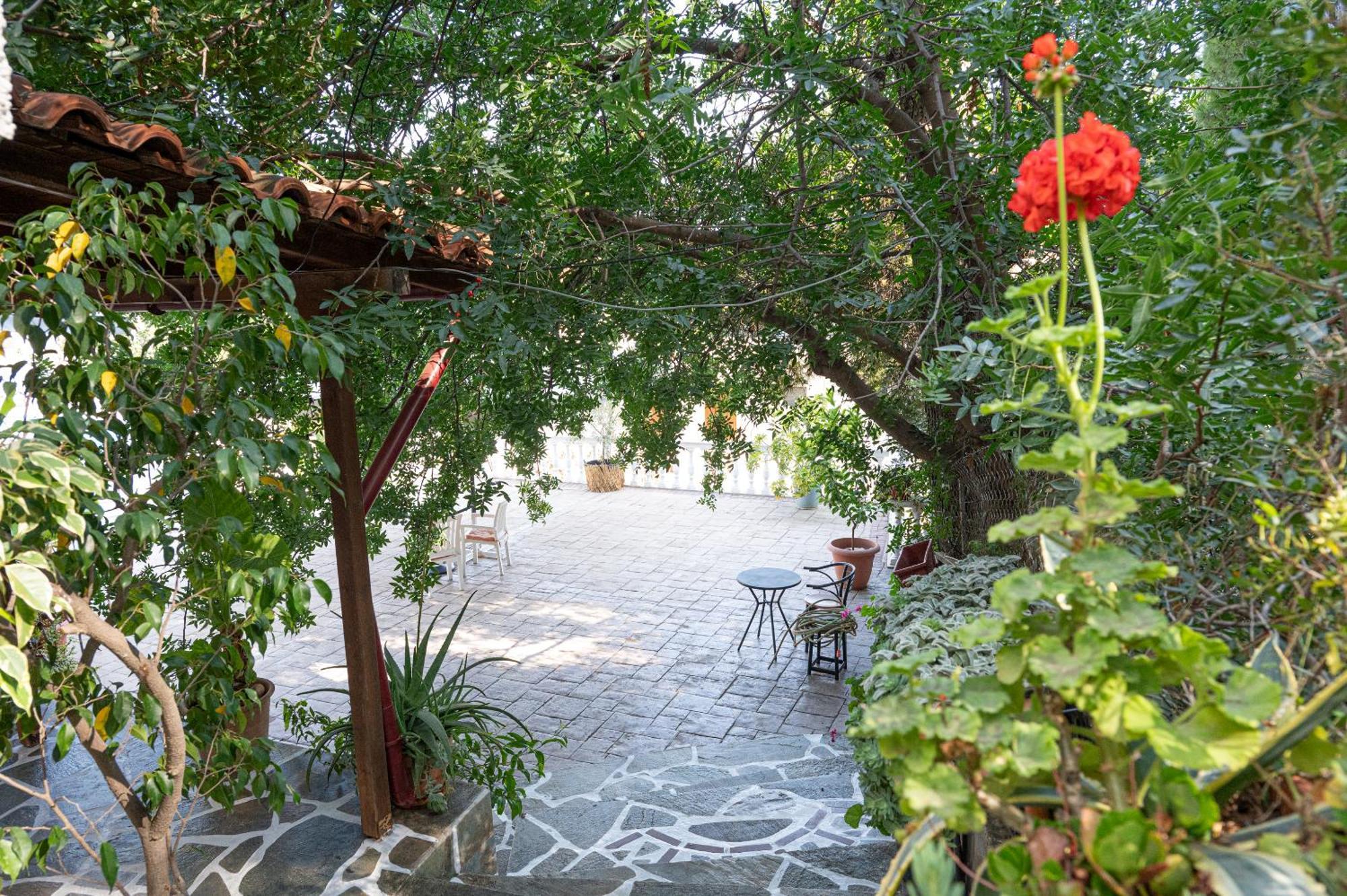 Poros Town Lions 2 Studios & Apartments, Poros Island. מראה חיצוני תמונה